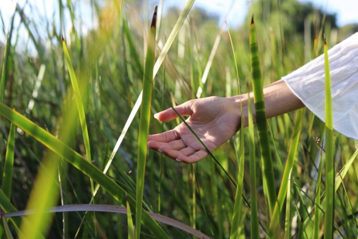 Park yoga with Spanda community in Fremantle
