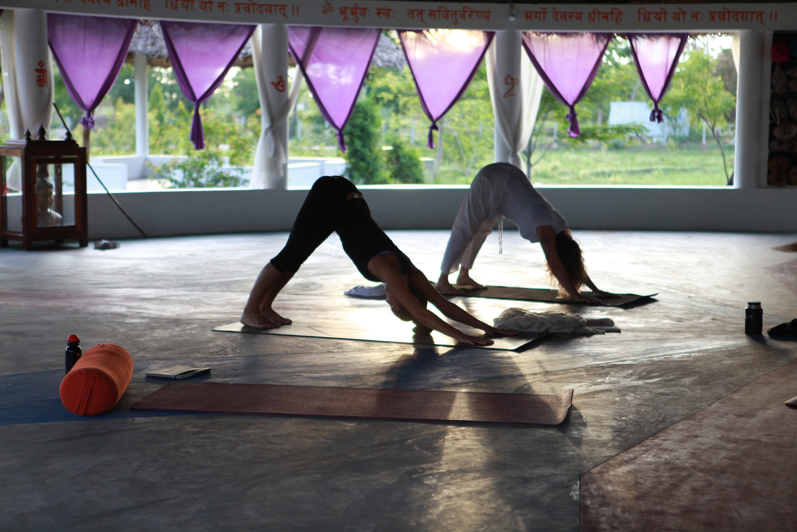Yoga in Ashok Tree Nature Resort
